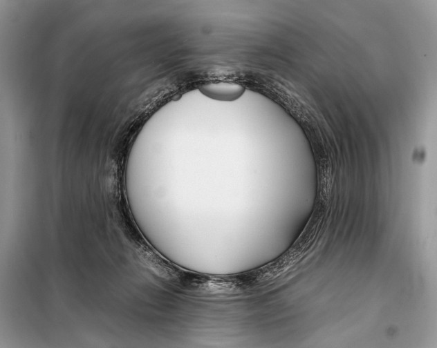 X0000098080270200805021028
