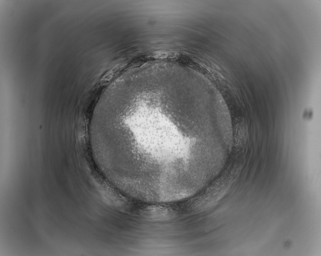 X0000098080272200805021029