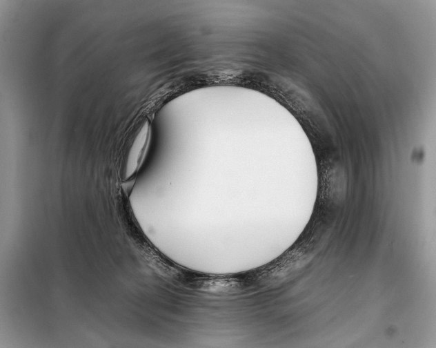 X0000098080274200805021029