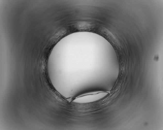 X0000098080277200805021029