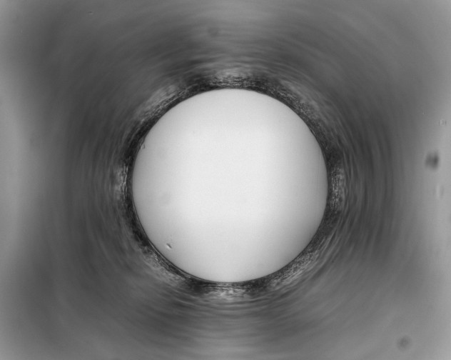 X0000098080278200805021029