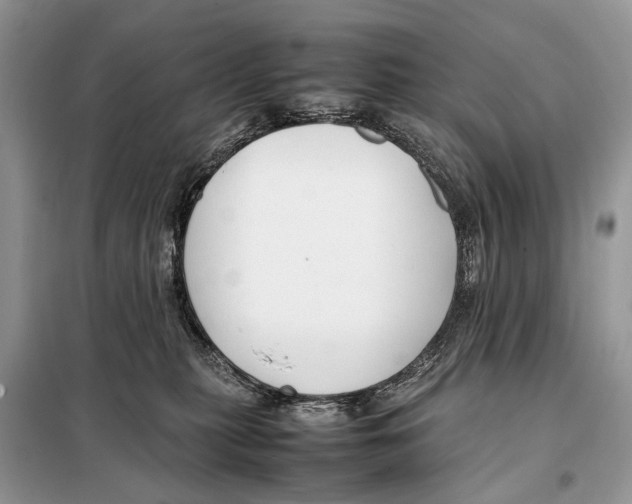 X0000098080279200805021029