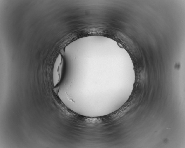 X0000098080281200805021029