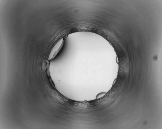 X0000098080282200805021029