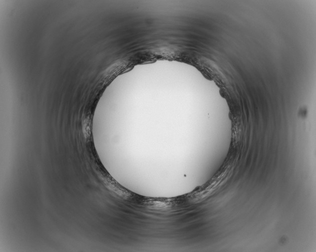 X0000098080285200805021029