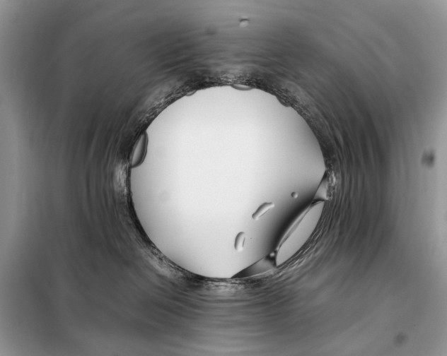 X0000098080286200805021029