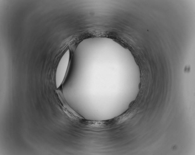 X0000098080288200805021029