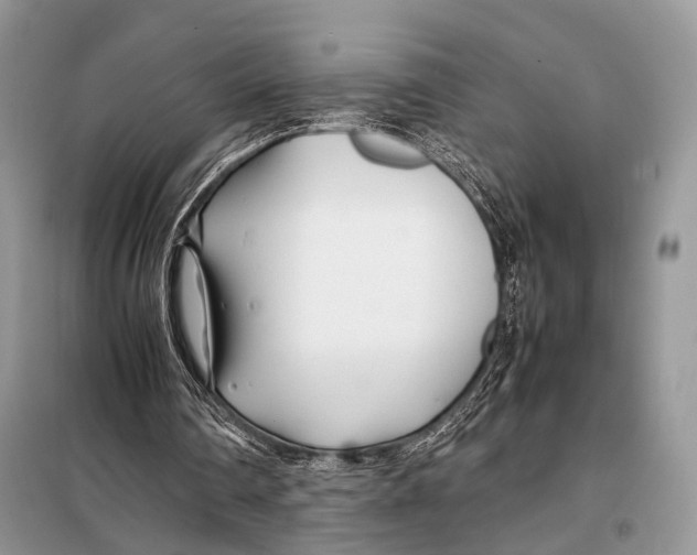 X0000098080290200805021028