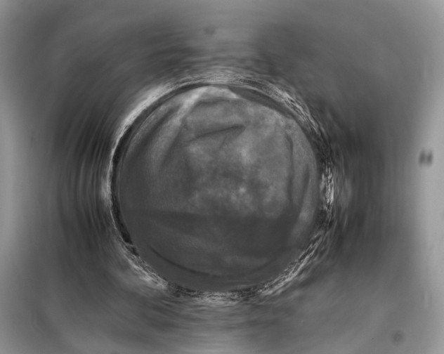 X0000098080292200805021028