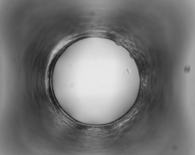 X0000098080294200805021028