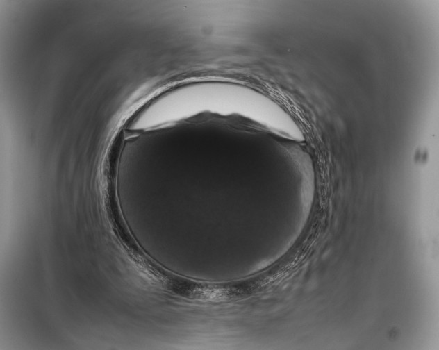 X0000098080295200805021028
