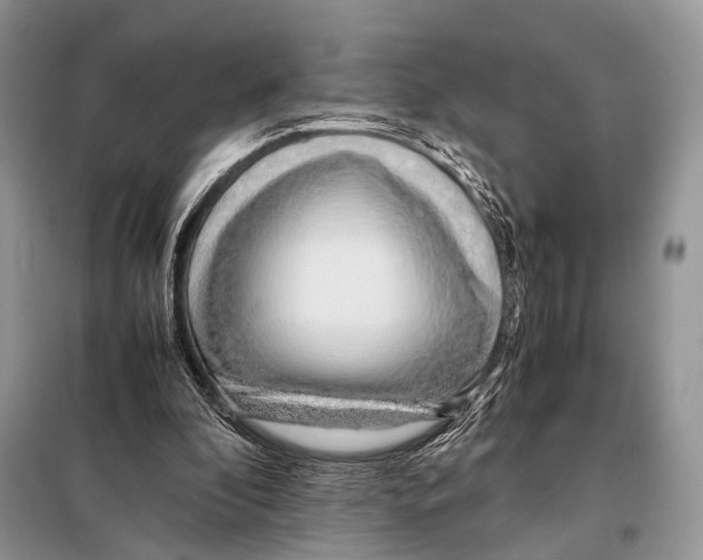 X0000098080296200805021028