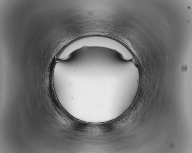 X0000098080299200805021028