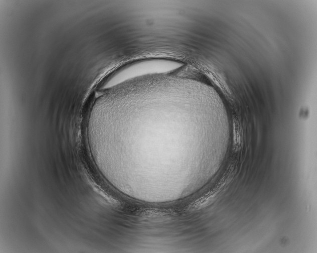X0000098080300200805021028
