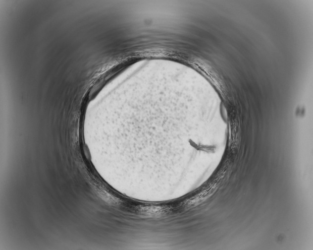 X0000098080301200805021028