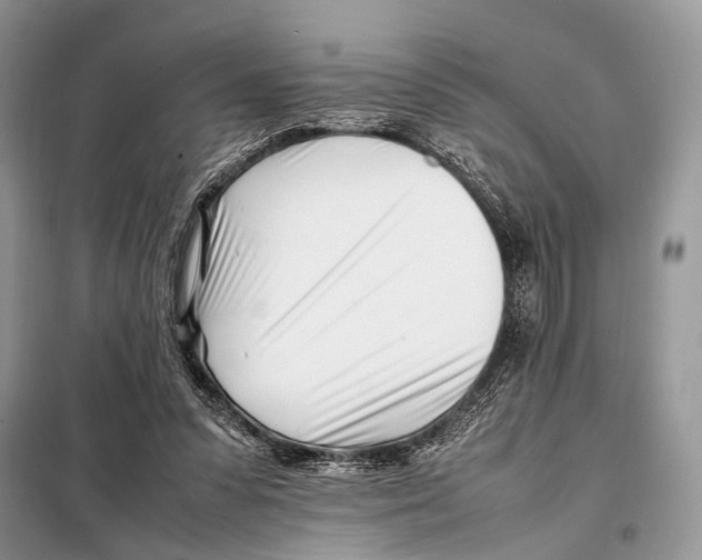 X0000098080303200805021028