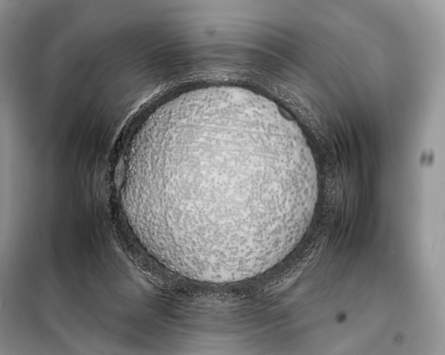 X0000098080304200805021028