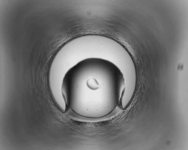 X0000098080305200805021028