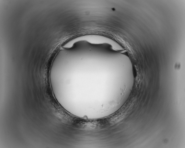 X0000098080306200805021028