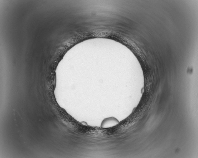 X0000098080307200805021028