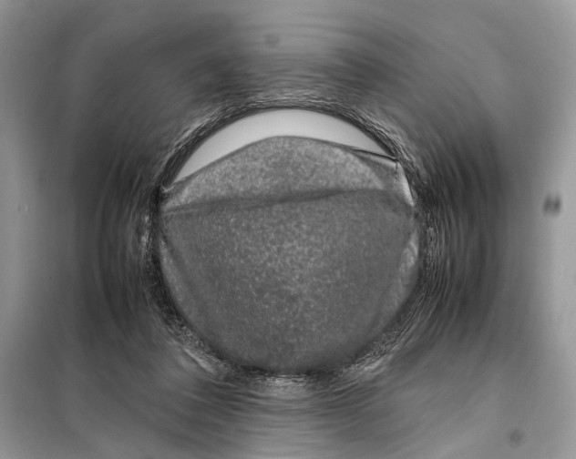 X0000098080308200805021028