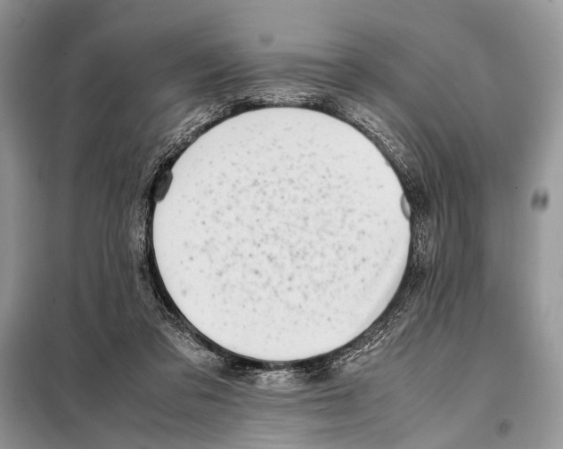 X0000098080309200805021028