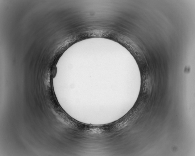 X0000098080310200805021028