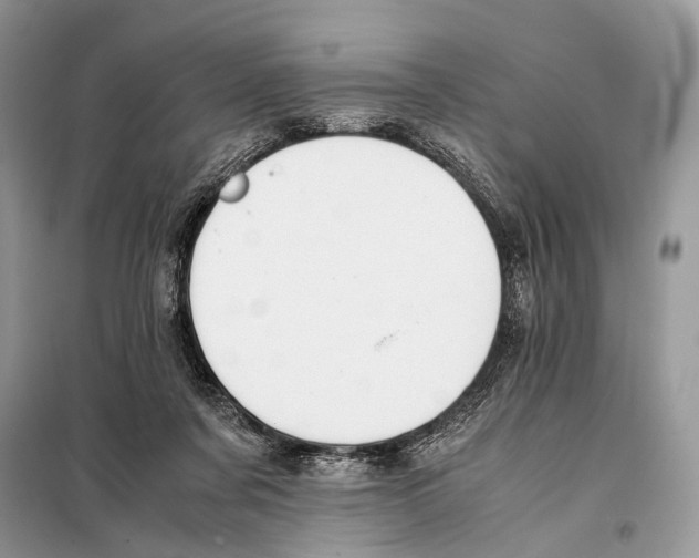 X0000098080311200805021028
