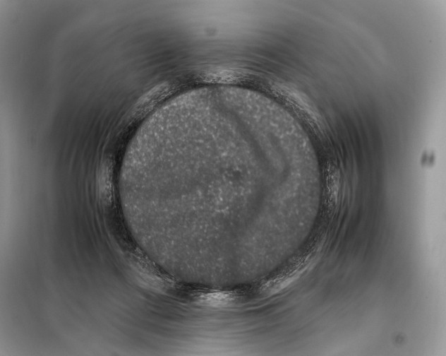 X0000098080312200805021028