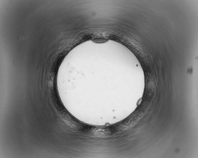 X0000098080315200805021028