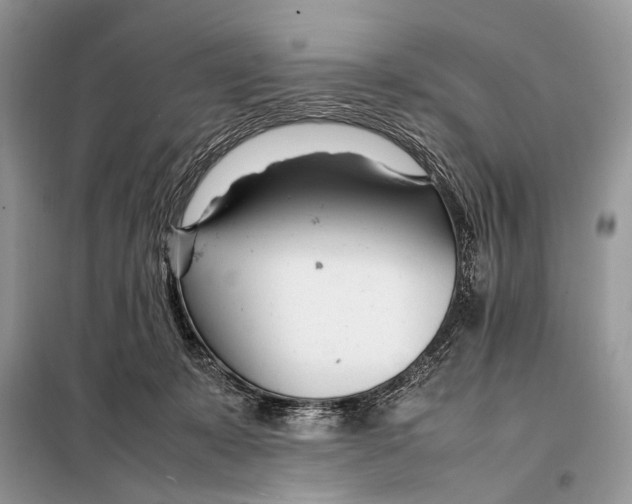 X0000098080319200805021028