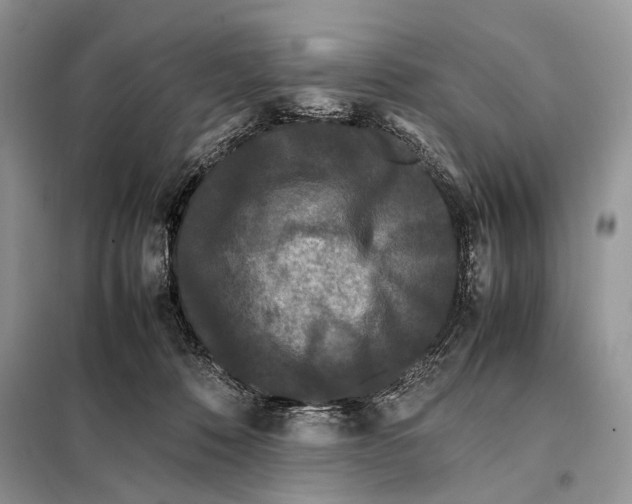 X0000098080320200805021028