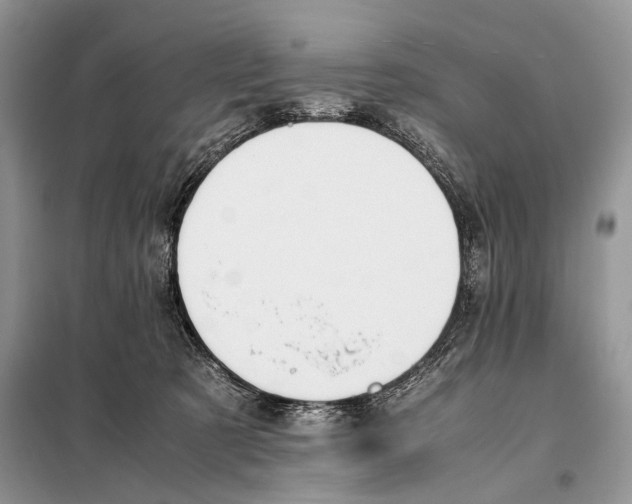 X0000098080321200805021028