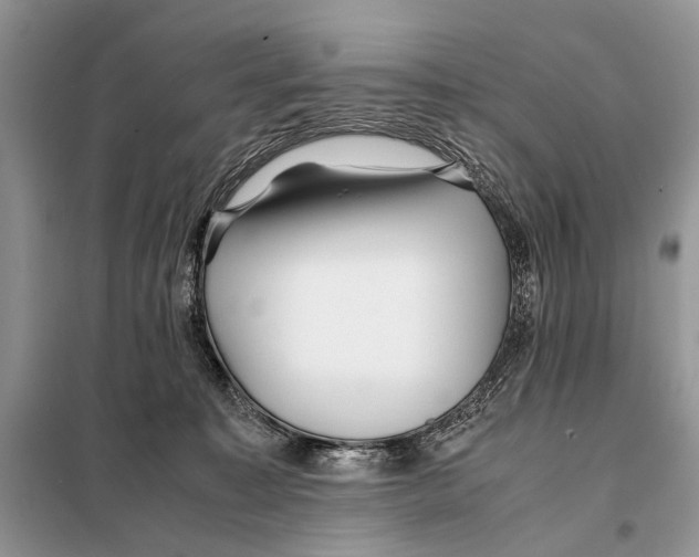X0000098080323200805021028