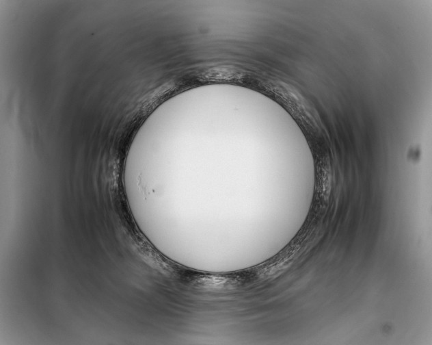 X0000098080326200805021028
