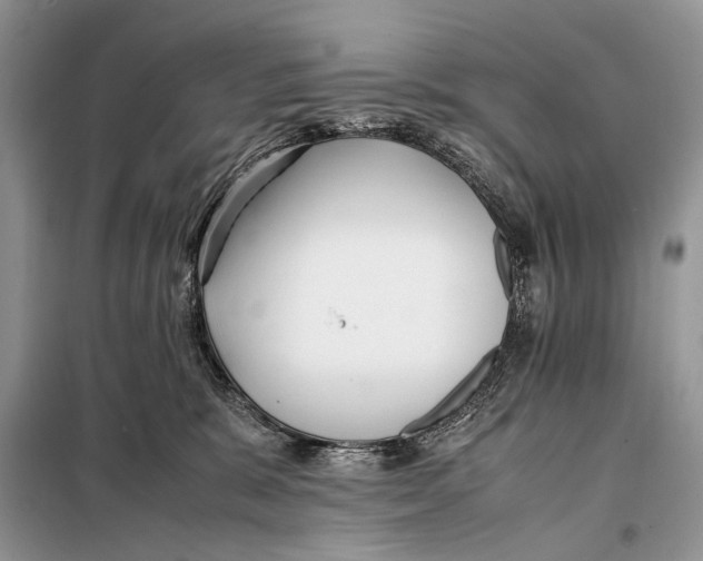 X0000098080327200805021028