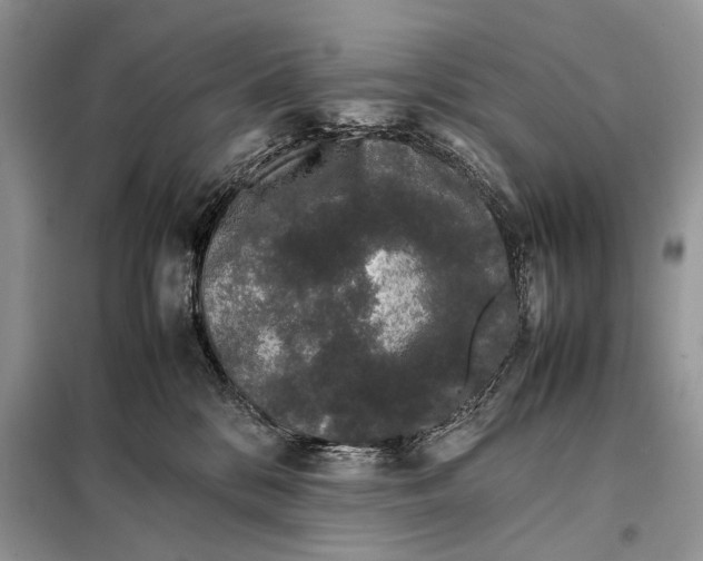 X0000098080328200805021028