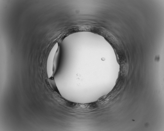 X0000098080329200805021028