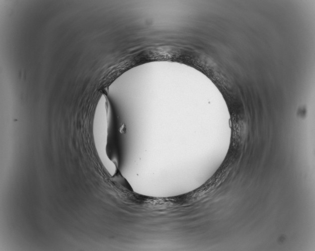 X0000098080331200805021027