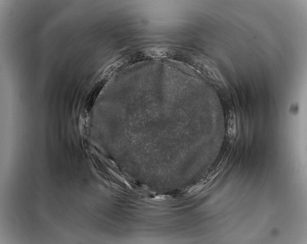 X0000098080332200805021027