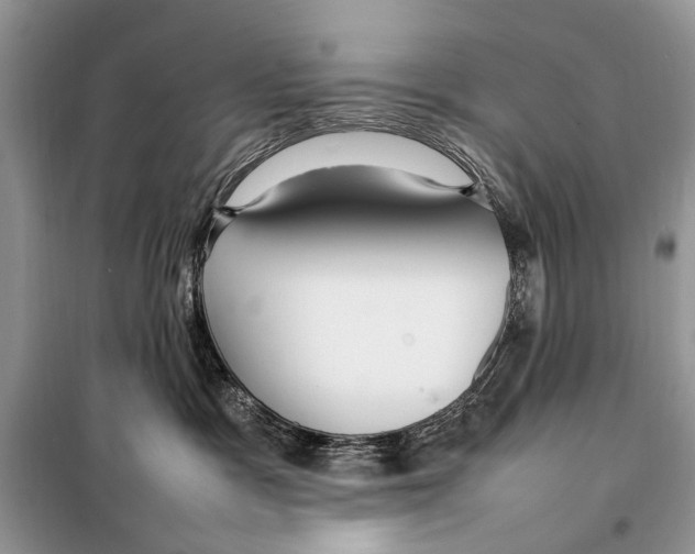 X0000098080333200805021027