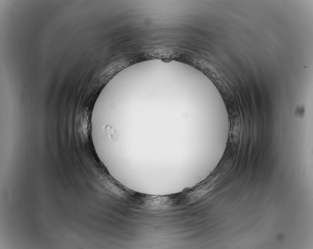 X0000098080334200805021027