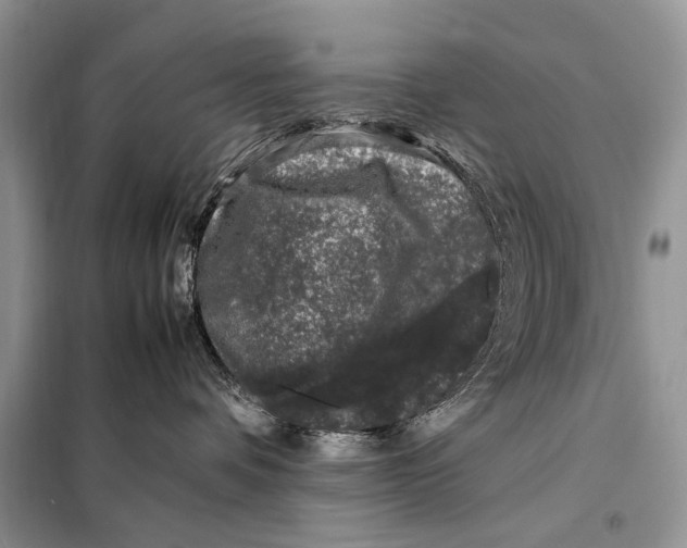 X0000098080336200805021027