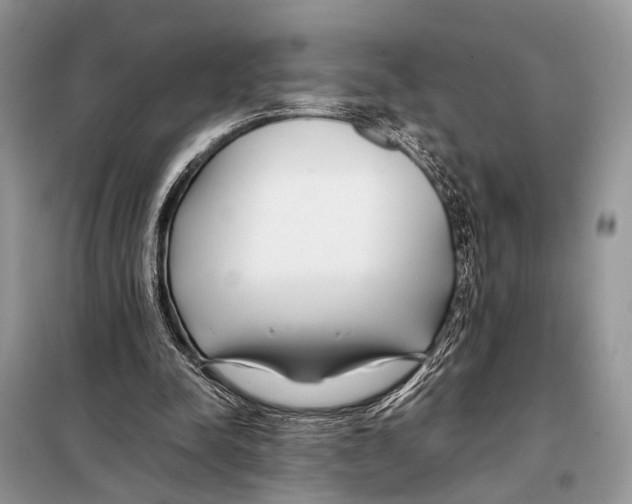X0000098080342200805021027