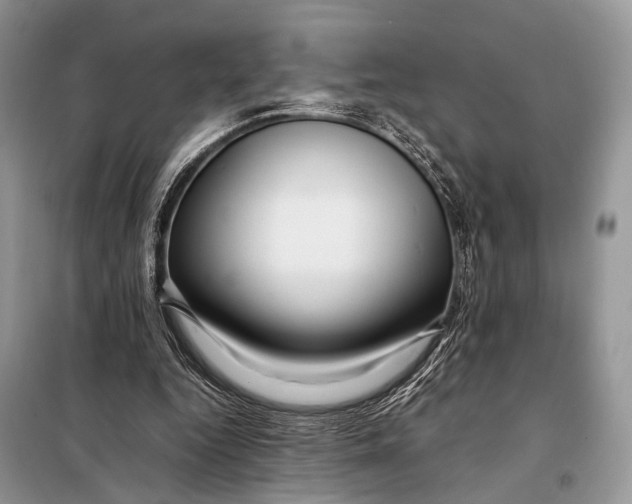 X0000098080344200805021027