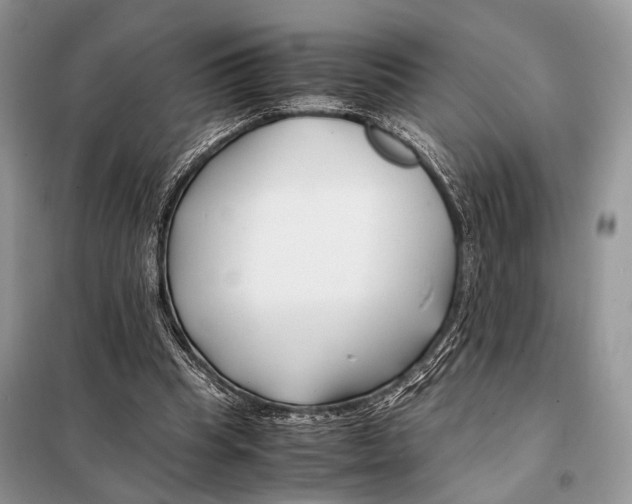 X0000098080345200805021027