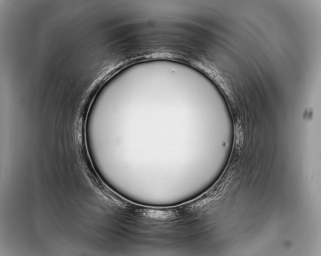 X0000098080347200805021027