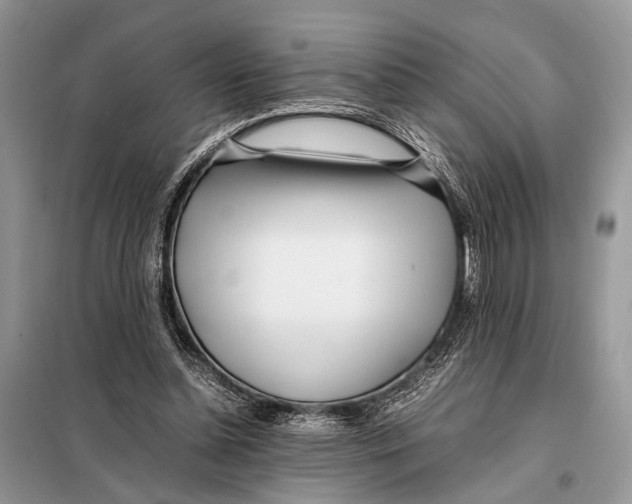 X0000098080348200805021027