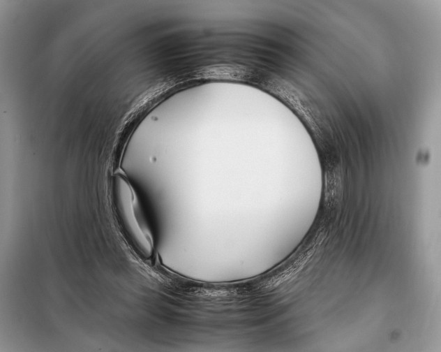 X0000098080349200805021027