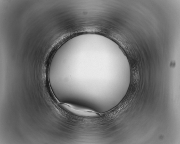 X0000098080350200805021027